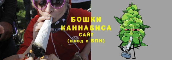 ПСИЛОЦИБИНОВЫЕ ГРИБЫ Алзамай
